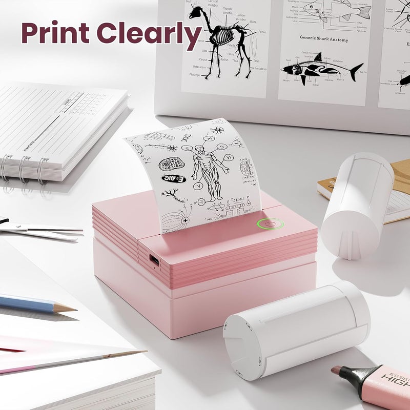 ETIKEZ Genuine Self-Adhesive Thermal Printer Stickers, Compatible with PM290C Mini Sticker Printer, Black on White, 54mmx3.2m Sticker Paper for Journal, Study, Photos, Note, 3 Rolls, White - Image 4